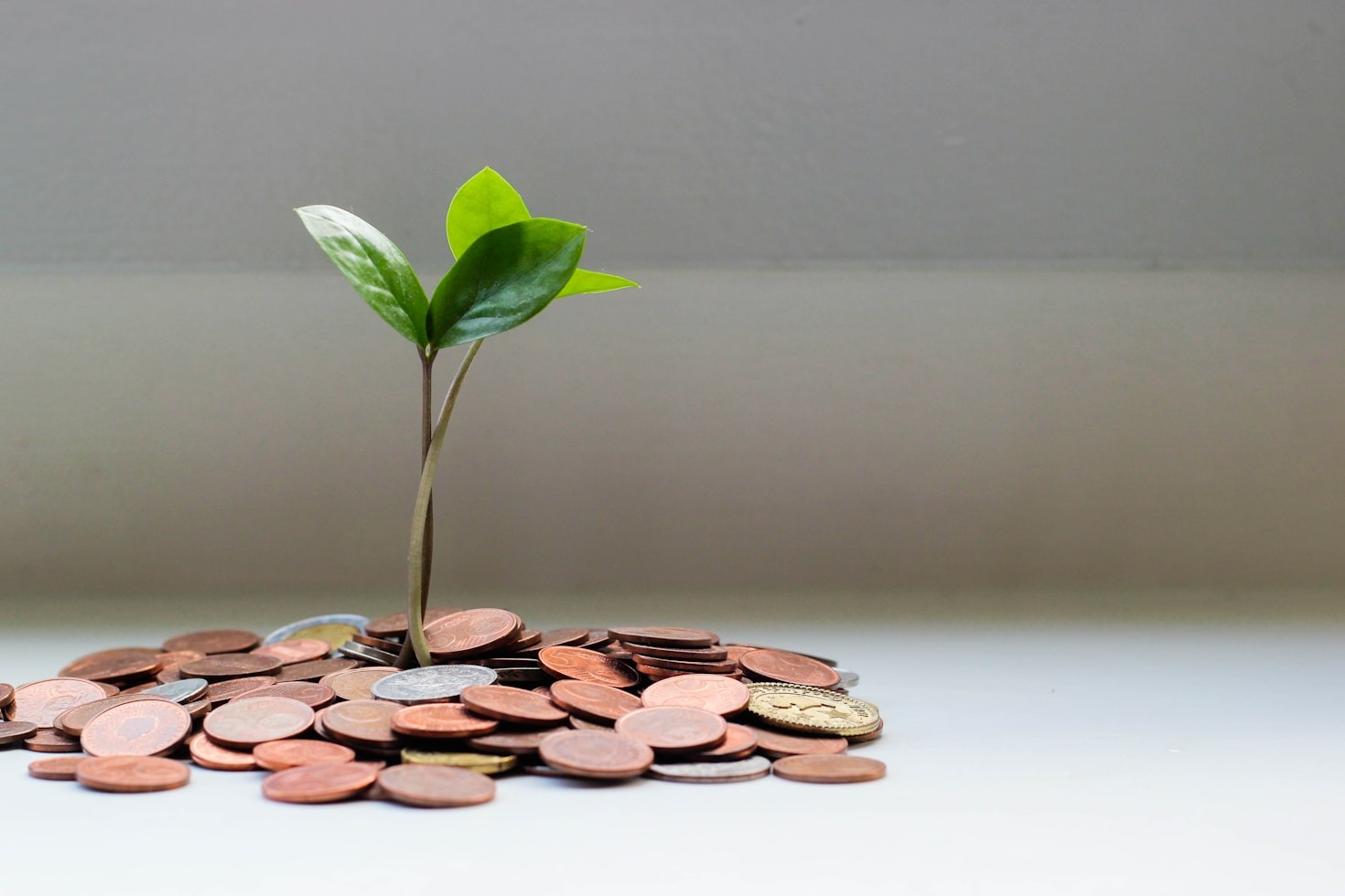 Your Journey to Financial Security Starts Today